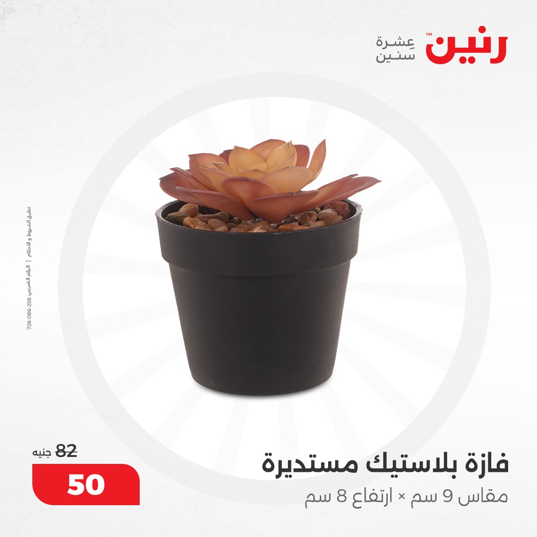 raneen offers from 17dec to 18dec 2024 عروض رنين من 17 ديسمبر حتى 18 ديسمبر 2024 صفحة رقم 167